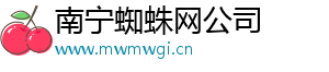 南宁蜘蛛网公司