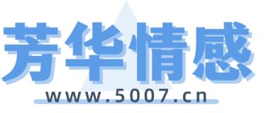 南宁蜘蛛网公司